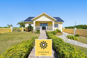 The Sunflower Villa 3 Bedroom Entire Beach House In Grand Turk